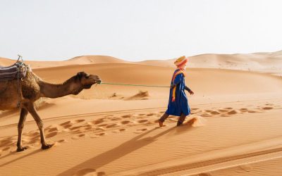 Trip to the Moroccan Deserts